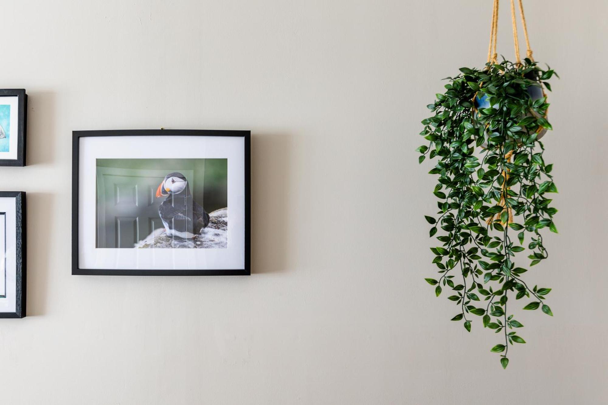 Sea Breeze Apartment Anstruther Ngoại thất bức ảnh